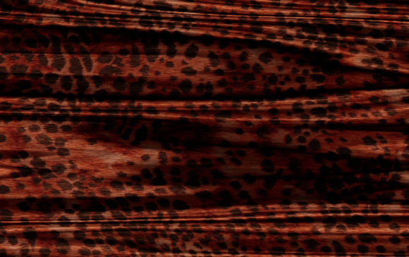 Download Abstract Animal Skin Texture Backgrounds - Animal Collection