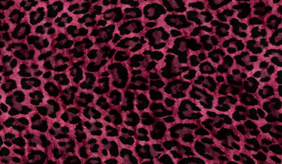 Download Abstract Animal Skin Texture Backgrounds - Animal Collection